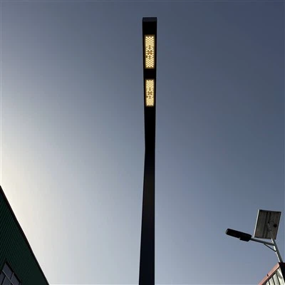 屋外ヤードライトを導いた