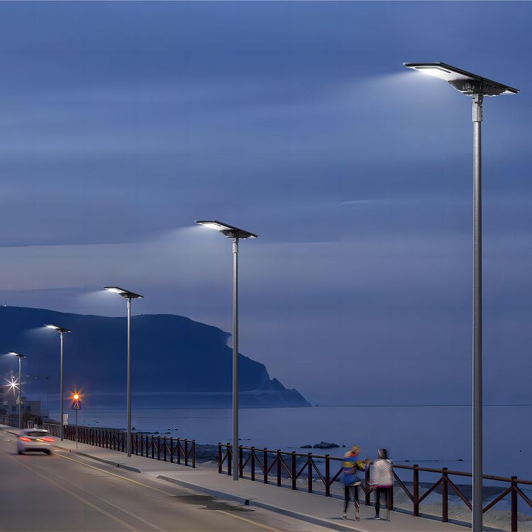 Smart Solar Street Light